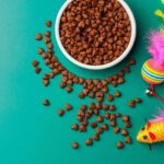 【挑嘴貓飼料推薦】5大值得貓咪都愛吃的挑嘴貓飼料推薦！