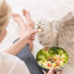 【貓飲食】幼貓什麼時候吃飼料？幼貓飲食方法、營養素&階段